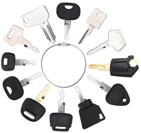 Set di 12 Chiavi di Avviamento Dell'accensione, Chiave di Ricambio Per L'interruttore di Avvio Dell'escavatore, Chiave di Ricambio Per L'interruttore di Accensione, Kit di Chiavi di Avvio