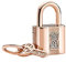 Wedanor Donna Ciondolo-Chiavi e serrature in oro rosa Argento 925 Colgantes con Zirconia cubica per Charm Bracciale