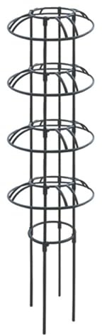 Wmaapg Rankgitter für Kletterpflanzen | Robustes Metall, rostfrei - Obelisk-Spalier als Rankhilfe,Für Kübelpflanzen wie Clematis, Kletterpflanzen, Innen & Außen