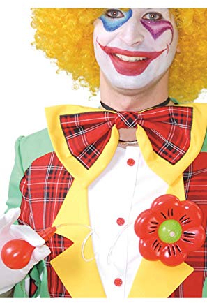 Widmann s.r.l.., Giant Flower Spray