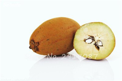 Seltene Sapodilla Obstbaum-Samen 30 PC-Herz-Frucht für Breiapfelbaum Japanischer Garten Pflanze Süße Form wie ein Mango.fruit 12