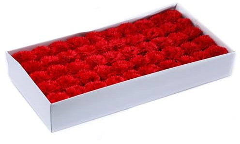 Ancient Wisdom Craft Soap Flowers - Box of 10 Red Carnations Ideal Wedding or Baby Shower Favours