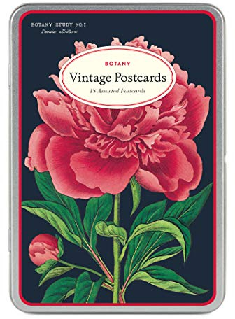 Cavallini original vintage Postkarten, Botanik, Blumen, 18 Stück mit verschiedenen Motiven