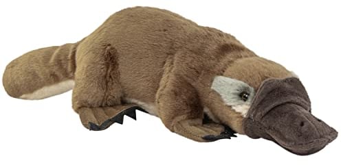 Teddys Rothenburg Plüschtier Schnabeltier Kuscheltier 30 cm braun/grau Kuscheltier