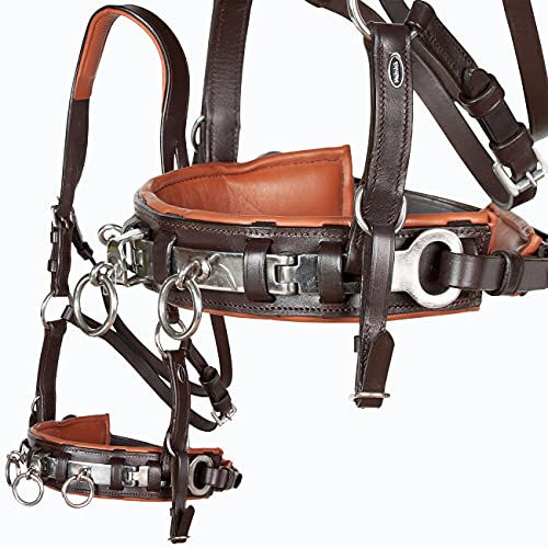 Heinick-Reitsport Profi Leder KAPPZAUM Edelstahl mit Gebissriemen Naseneisen ~ Braun-Chestnut ~ Warmblut