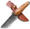 TAN RAN Damastmesser 10.4 CM, Outdoor Messer Feststehend, Survival Messer Outdoor, Jagdmesser Feststehende Klinge mit Scheide, Bushcraft Camping Messer Feststehend für Wandern, Fischen und Jagd