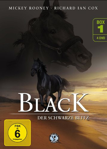 Black - Der schwarze Blitz - Box 1 [4 DVDs]
