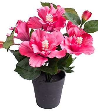 Nova-Nature künstlicher Hibiskus mit 5 Blütenköpfen im schwarzen Kunststofftopf (pink)