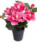 Nova-Nature künstlicher Hibiskus mit 5 Blütenköpfen im schwarzen Kunststofftopf (pink)