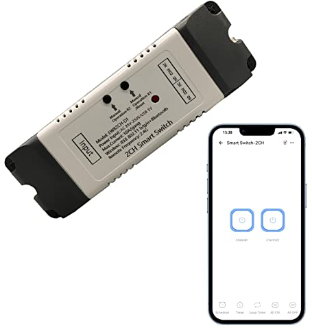 Jane Eyre 2 Kanal EWelink Funkschalter mit Gehäuse, WiFi Schaltermodul, Fernbedienung, DIY Smart Home, Bluetooth-Relais, funktioniert mit Alexa Google Home