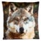 Teddys Rothenburg Plüschkissen Wolf 35 x 35 cm Tierkissen Foto Stoffkissen Kissen