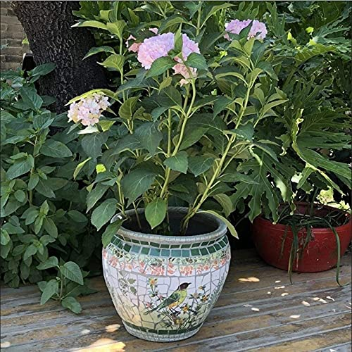 Garden Plant Container Planter Ceramic Bonsai Pot Flower Pot Round Classical Outdoor Large Plant Pot Plant Pot Decorative for Bonsai Plants Colorful Vase