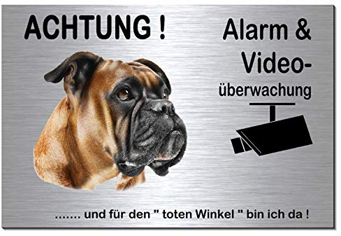 Boxer-Alarm-Video-Überwachung-Hund-Schild-Hundeschild-Aluminium Edelstahloptik-Hunde-Tierschild-Warnschild-Hinweisschild 133-3 (133-3 silber 300 x 200 x 3 mm mit Löcher)