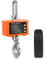 Do-Electr 1T Kranwaage High Precision Digital Hängewaage with Remote Control Industrie Hängende Waage Intelligent Weighing Tools Crane Scale für Familie, Agrarmarkt Hängewaage
