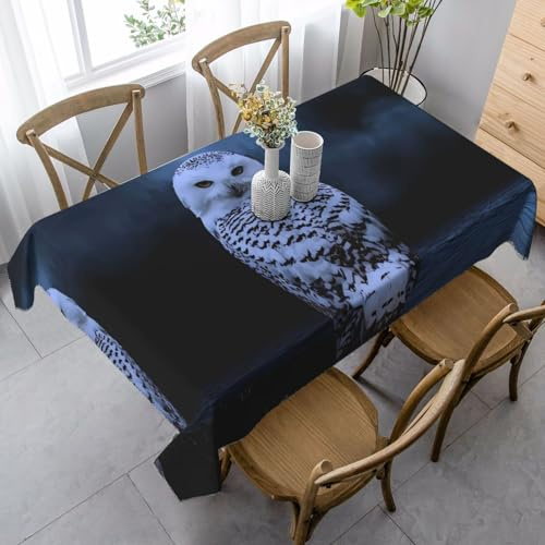 JaoXer Rechteckige Tischdecke mit Eulen-Motiv, waschbar, klassische Küchendekoration für Esstisch, Tischplatte, Party-Tischdecken