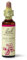 Bach Original Flower Remedies (Crab Apple) Find Joy & Hope, Accept Imperfection, Emotional Wellness, Natural Flower Essence, 20ml