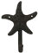 osters muschel-sammler-shop Gusseisen Wandhaken im maritimen Design - 4 Motive wählbar - Dunkelbraun - fürs Bad, Küche oder auch WC (Seestern)