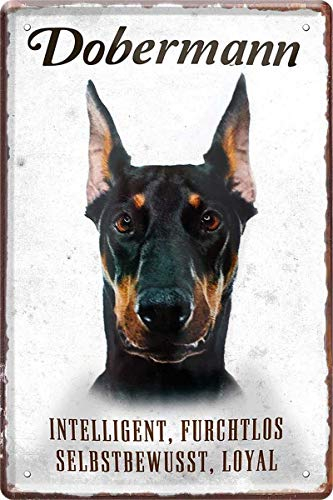 WOGEKA ART Retro Blechschild - Dobermann Hund Steckbrief - witziger Spruch als Geschenk-Idee zum Geburtstag Weihnachten zur Dekoration 20x30 cm Vintage-Design aus Metall 188