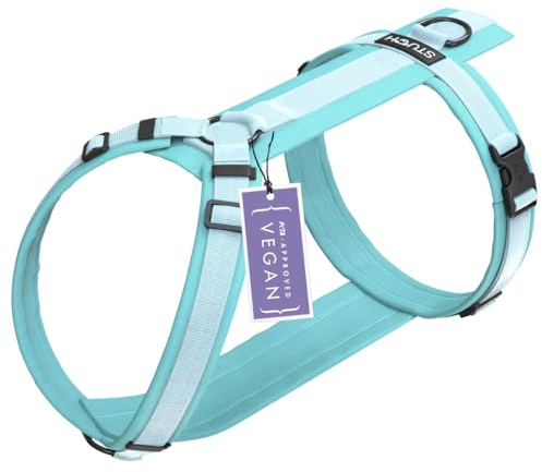 STUCH Hundegeschirr - verstellbares Nylon Geschirr - gepolstert - Für kleine, mittlere und große Hunde, Farbe:Türkis, Größe:XS