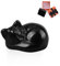 DHSBGWSX Ornement Noir de Chat - Boîte Cadeau pour Amoureux des Chats - Figurine Décorative pour Maison, Bureau
