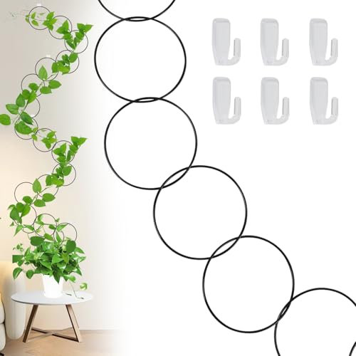 Chain Trellis,Metal Climbing Plant Chain Stand Chain Trellis House Plant Support Frames with 6 Hooks,Garden Wall Trellis and Plant Vine Supports (Round)