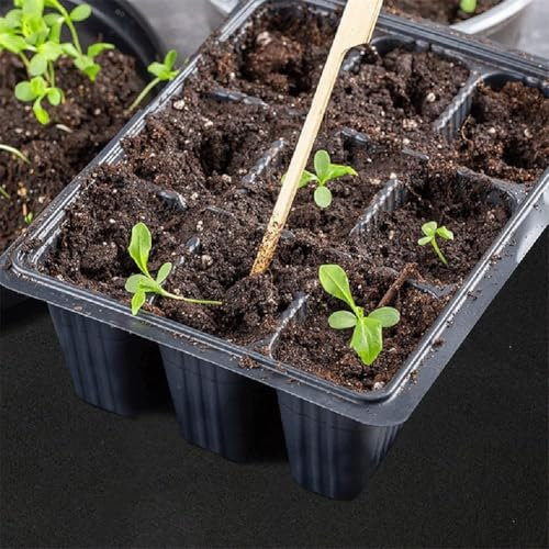 Un juego de herramientas imprescindible para jardineros, sistema de riego capilar automático y kit de etiquetas de plantas