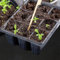 Un juego de herramientas imprescindible para jardineros, sistema de riego capilar automático y kit de etiquetas de plantas