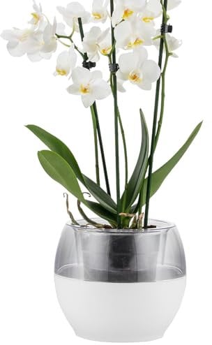alqua Macetas de orquídeas de riego automático de 16 cm, macetas de plástico blanco con drenaje, macetas de interior y exterior para orquídeas, macetas grandes de jardín para plantas, contenedores de