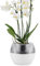 alqua Macetas de orquídeas de riego automático de 16 cm, macetas de plástico blanco con drenaje, macetas de interior y exterior para orquídeas, macetas grandes de jardín para plantas, contenedores de