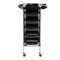 Physa Table de Service Rangement Coiffure Professionnelle Noir Physa-RR-5S (Plastique et Acier, Nombre de tiroirs 5, Poids 6,2 kg, 52,5x38,8x91cm)
