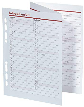 BSB Ersatzeinlage Jahresübersicht Leporello 2025-6-fach Lochung - ca. A5 - für Manager Terminplaner Organizer, 02-0570