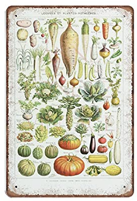 DAIERCY Gemüse Blechschilder 1948 Vintage Küche Dekor Gemüse Poster Antik Botanische Kunst Französische Landdekor Metallschild Wandkunst Küche Dekor, 140 x 200 mm