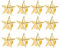 GALPADA 12 Stück Sternnadeln Goldene Anstecknadel Goldene Sternnadeln Für Den