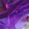 YYCRAFT Zweifarbiger transparenter Organza-Stoff, Meterware für Vorhänge, Hochzeiten, Dekoration, 2 Meter, irisierendes Violett