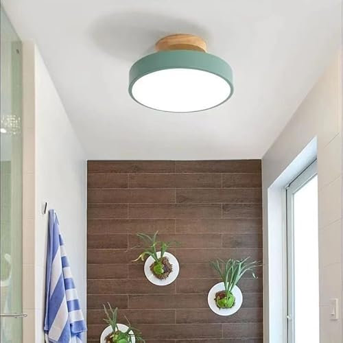 ELINKUME LED Deckenleuchte,12W Deckenlampe mit 3 Einstellbaren Farbtemperaturen(3000K-6000K),Durchmesser 18CM Moderne Runde Deckenleuchten für Küche,Balkon,Korridor,Schlafzimmer,Wohnzimmer(Grün)