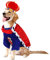 Hund Kleidung Hund Hut und Mantel Set Party Kostüm Weiche Zwei-stück Mantel Hund Krone Hut König Mantel für Hunde Katzen Haustier Halloween Lustige Kopfbedeckungen
