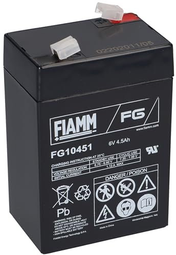 Horizont FGS Batterie 6 V 4,5 Ah pour flash Euro Compact Plomb
