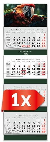 PRIMUS PRINT XXL Kalender 2025 - Mehrblock Wandkalender - 4-Monatskalender - Jahres Blockkalender - mit Datum Schieber - inklusive Feiertagen und Ferien - verschiedene Motive - [ 1x Papagei ]