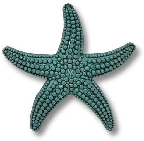 Toocook Animali marini in ceramica naturale o smaltata per Decorazione Murale e Arredo Casa, Realizzati Artigianalmente, Idea Regalo Made in Italy (Stella Acqua marina)