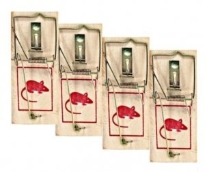 4 TAPETTES A SOURIS MULOTS EN BOIS ET FER PIEGE SOURIS RAS RONGEUR