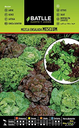 Semillas Batlle Mezcla de Ensaladas MESCLUM
