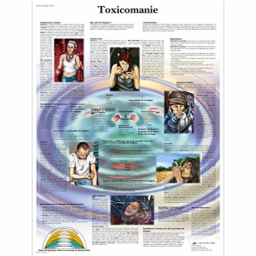 3B Scientific Lehrtaffel - Toxicomanie Chart - Französisch