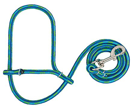 Weaver Leather Halfter für Viehtiere aus Polyseil, mit Schnappverschluss, Limette/Hurricane blau/königsblau, durchschnittlich