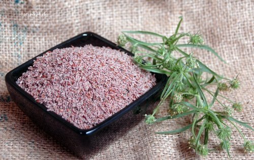 Naturix24 – Flohsamen indisch ganz – 1 Kg Beutel