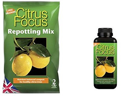 Citrus Focus repotting Mix 2 Litre Bag & Citrus Focus 300ml Feed