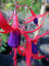 Staudenkulturen Wauschkuhn Fuchsia Hybr. 'Klettermaxe' - winterharte Fuchsie - Staude im 11cm Topf