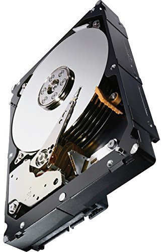 'st3000nm0023 – Hard disk interno Seagate da 3 TB, 7200 rpm, 3.5 SAS)