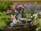Smart Garden Led Solarlicht von magischen Eulen Set 3 Mehrfarbig