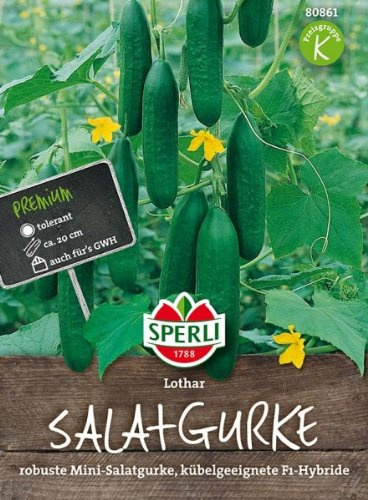Sperli Salatgurke Lothar