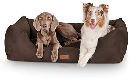 Knuffelwuff Hundebett Dreamline aus Velours XXL 120 x 85cm Braun - abnehmbarer Bezug - leicht zu reinigen - für große, mittelgroße und kleine Hunde